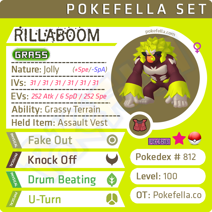Rillaboom  Pokémon Sword e Pokémon Shield