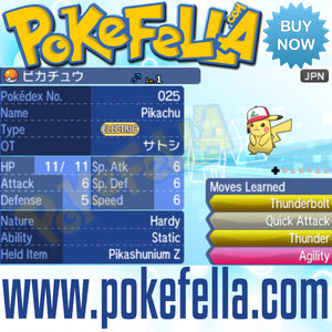 Pokemon Kalos Region Pokedex and Battle Ready Pikachu - Cracked