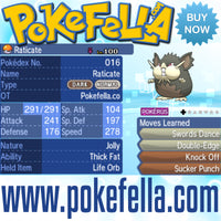 Totem Raticate Thick Fat Life Orb Swords Dance Double-edge Knock Off Sucker Punch Battle-ready Competitive Perfect 6IVs Non-shiny buy for sale